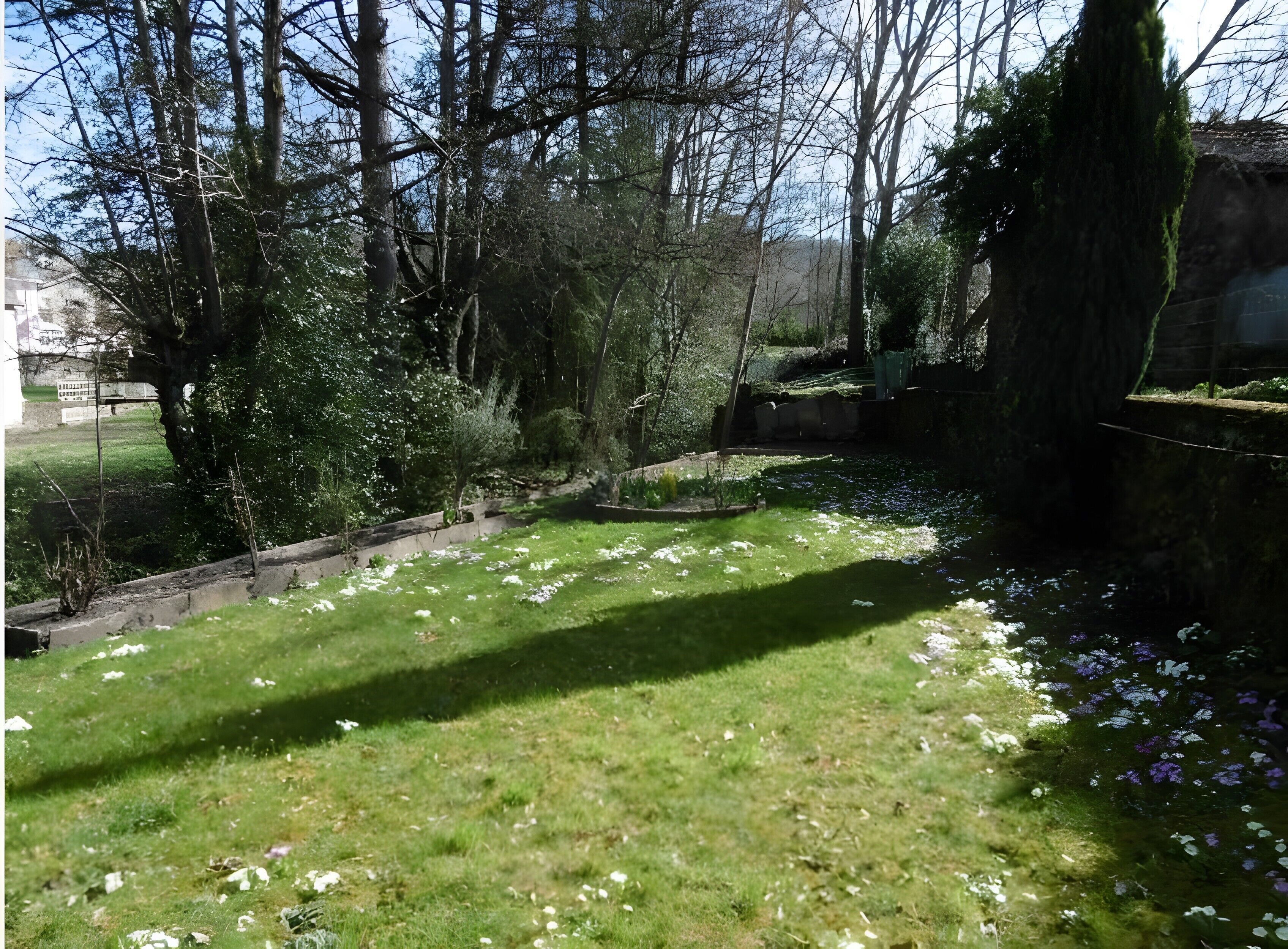 A grassy area with trees and a stone wall.