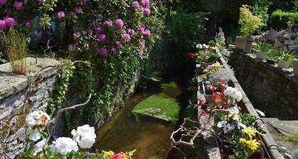 “Domaine du Noyer” Guest Room – Comfort and Tranquility