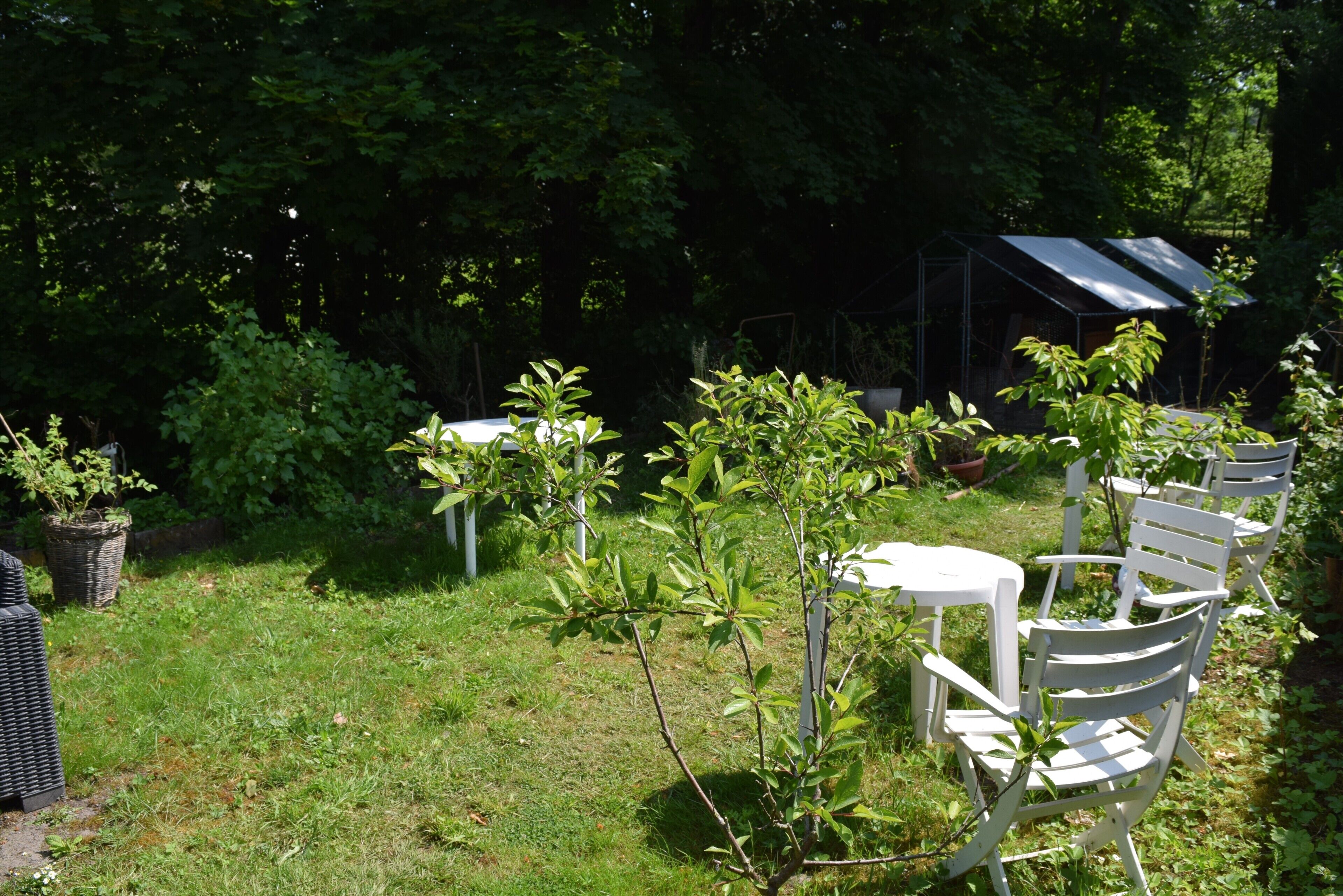 Un jardin avec des chaises et des tables blanches, entouré de verdure et agrémenté d’une serre.