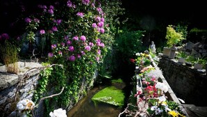 A garden with a water feature, stone walls, and various plants and flowers.