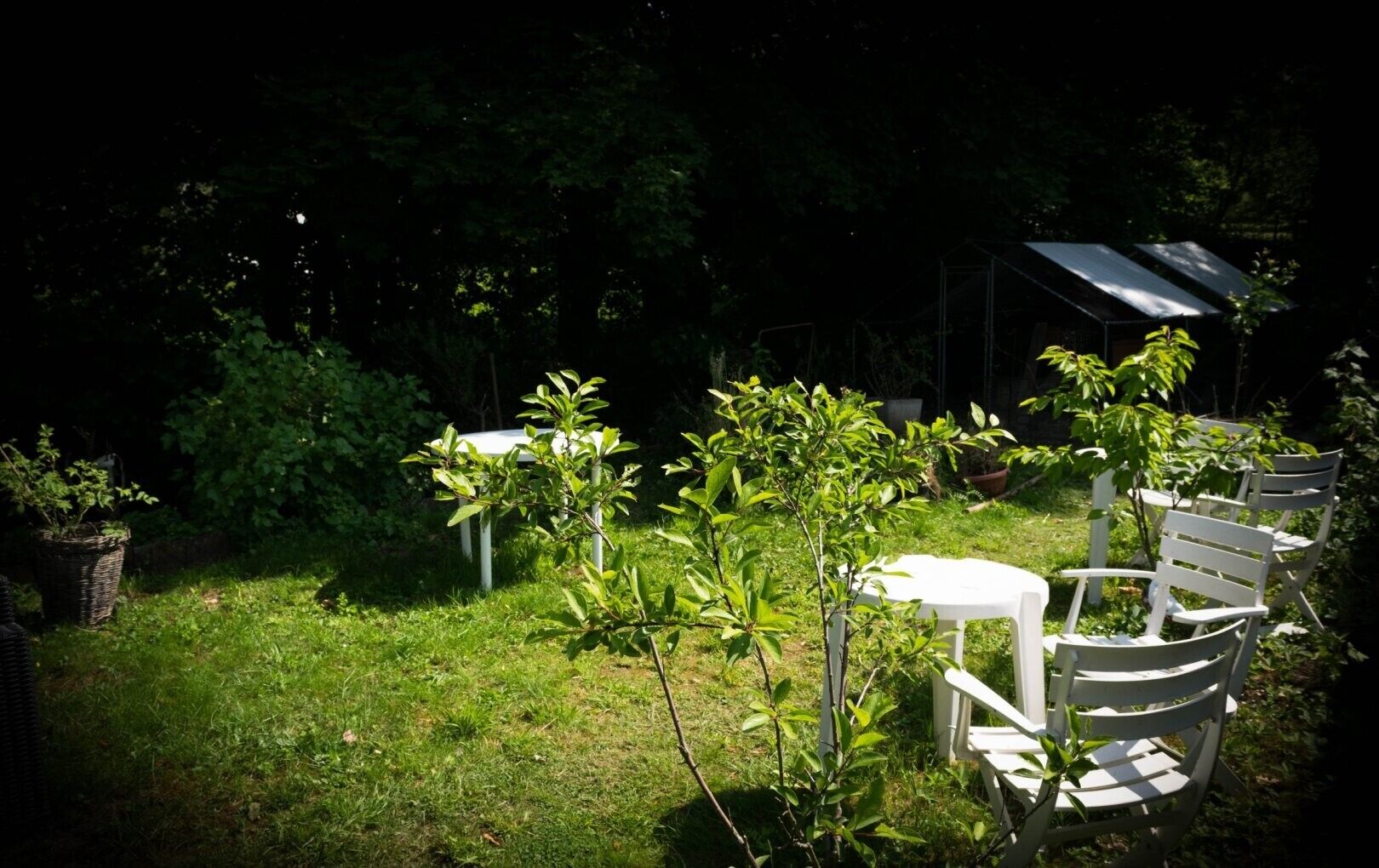 Ein Garten mit einem weißen Tisch und Stühlen, umgeben von viel Grün und einem überdachten Bau.