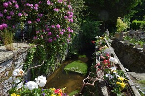 المنطقة المحيطة بالمنشأة