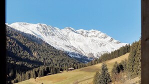 Eine gebirgige Landschaft mit schneebedeckten Gipfeln und einem bewaldeten Tal.