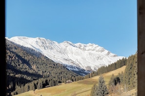 Un paysage montagneux avec des sommets enneigés et une vallée boisée.