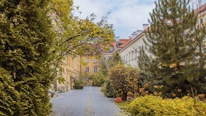 Eine von Bäumen gesäumte Kopfsteinpflasterstraße mit Häusern.
