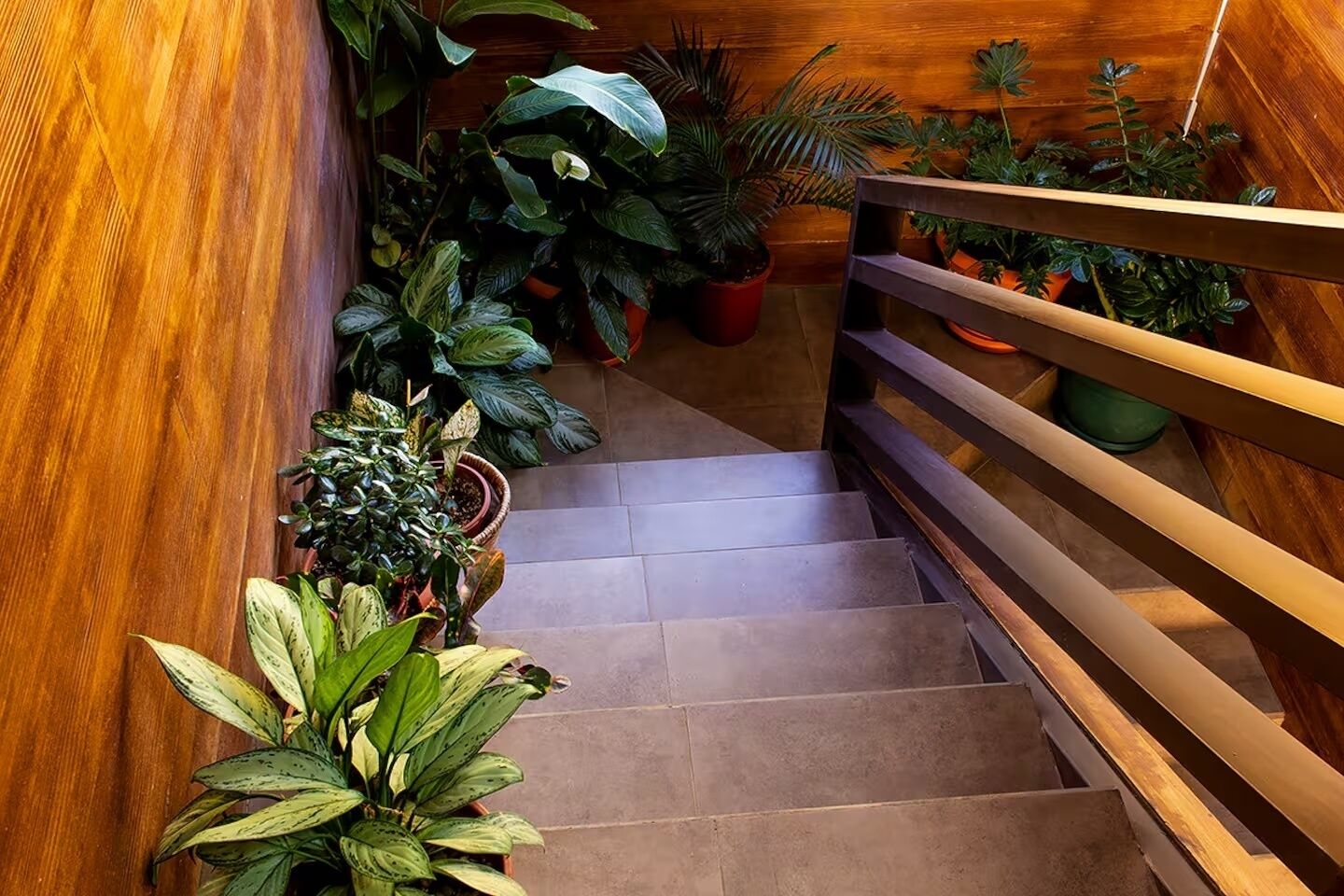 Een houten trap met een metalen leuning, omringd door diverse planten in potten.