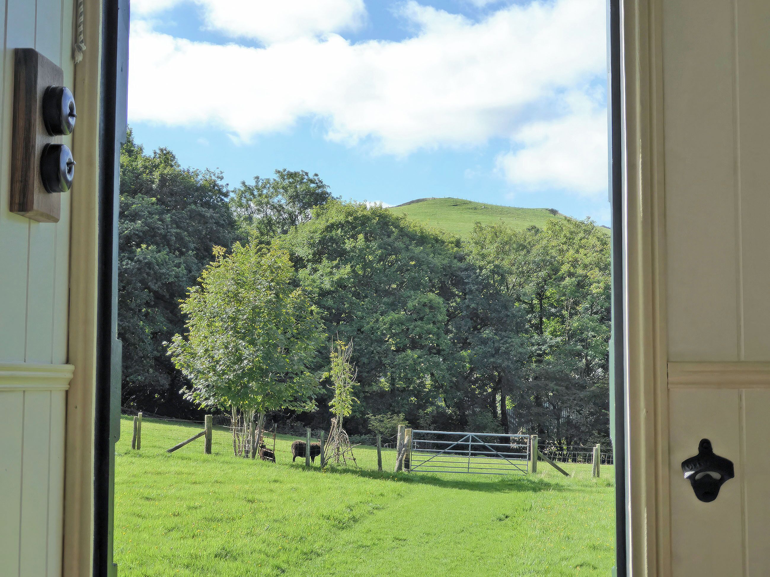 A view through a door of a green field with a fence, trees, and a hill in the background.