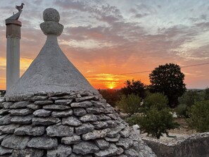 House - Trulli del Capo - Depandance (Monopoli)