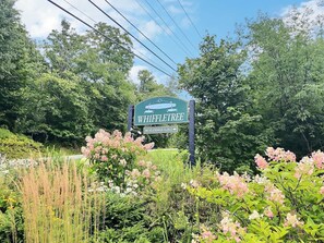 Exterior detail - BlueBird Escape- Pool, Near Bike Park and Golf! (Killington)
