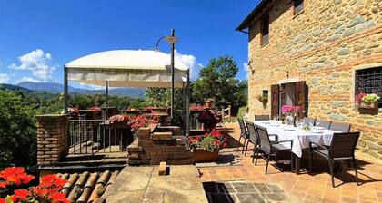 NEW! Farmhouse & barn, private pool, mountain views, flexible changeover.