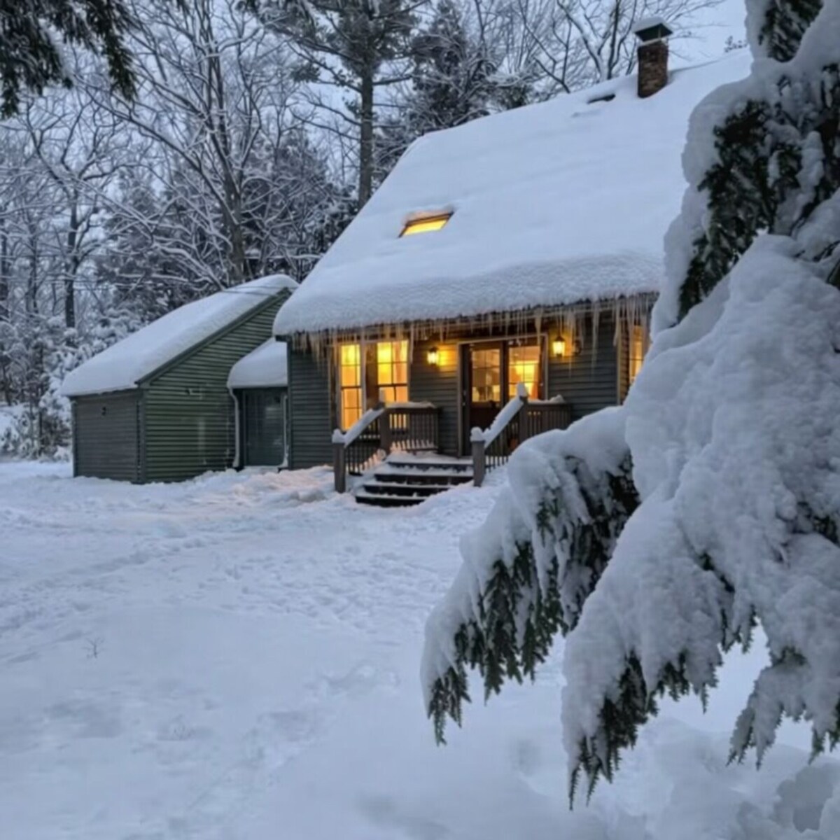 Værtens profilbillede