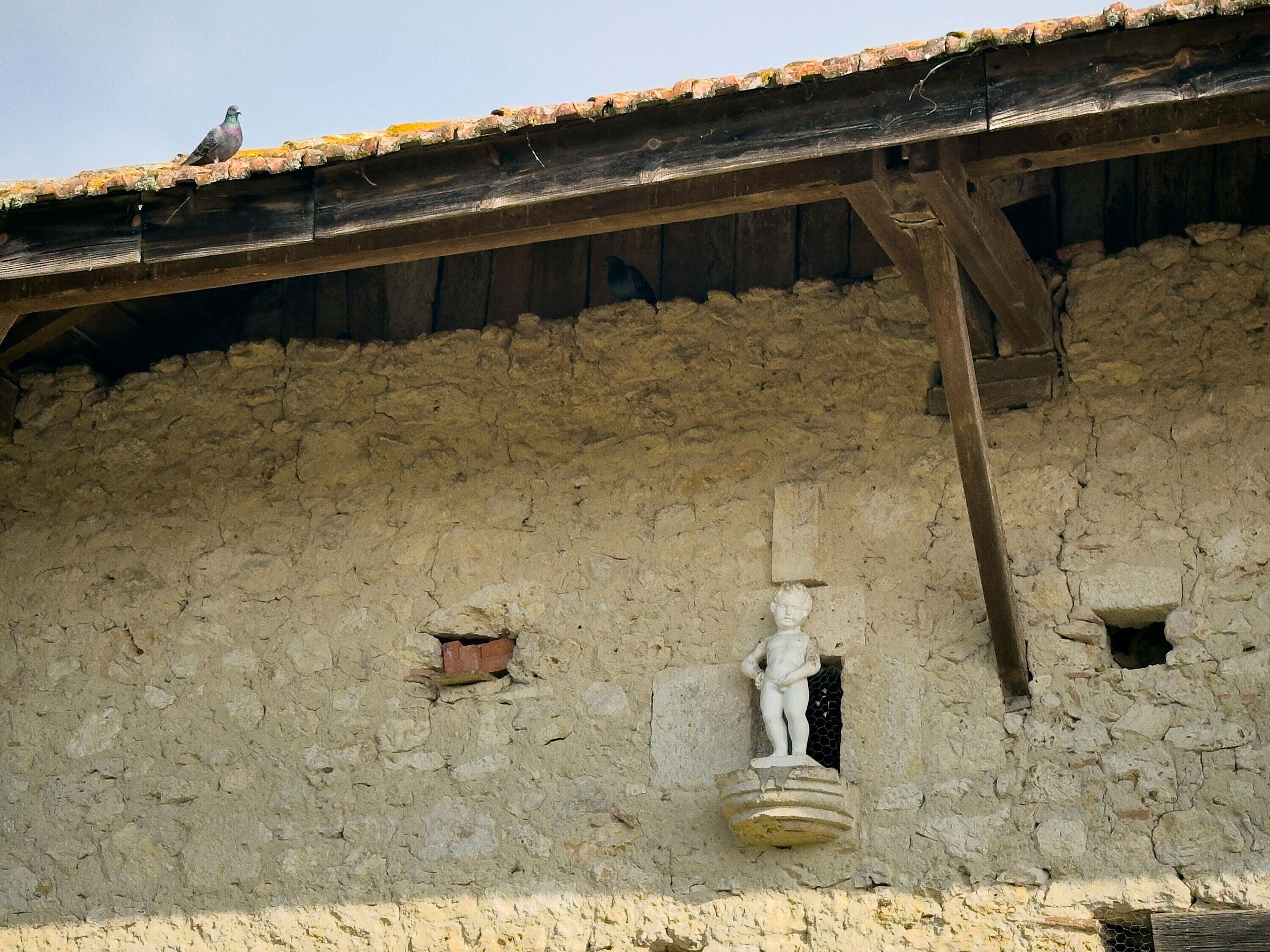 A pigeon on a roof, a stone wall with a statue, and a wooden beam structure.