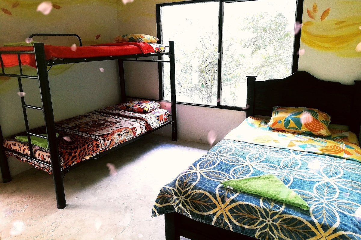 Family Quadruple Room, Mountain View