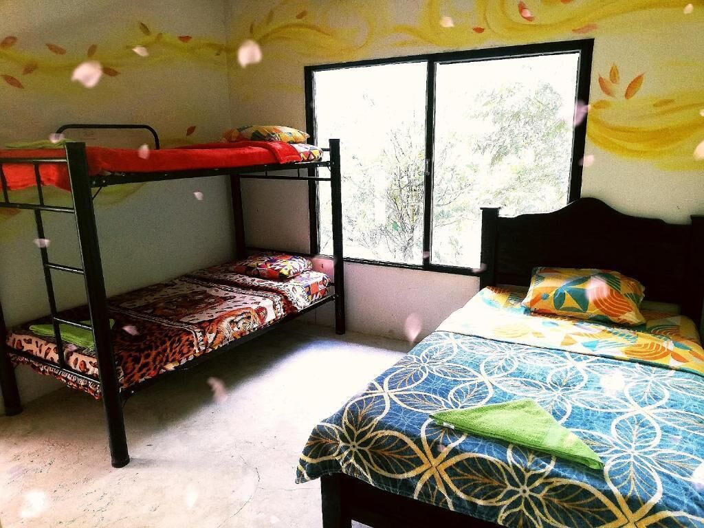 A dormitory room with bunk beds, a window with a view of trees, and a bed with patterned bedding.