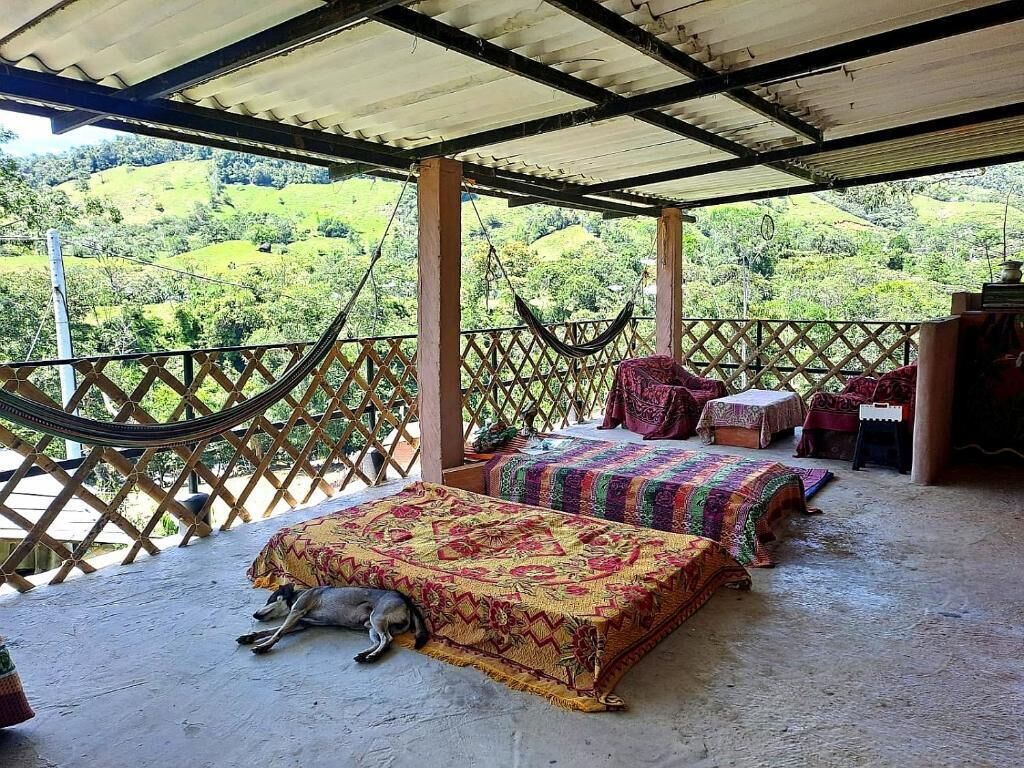 A covered outdoor area with two beds, a hammock, and a dog.