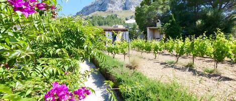 Jardines del alojamiento