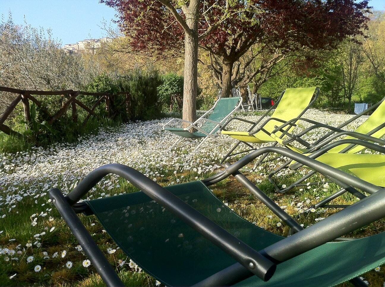 A row of green lounge chairs with metal frames, arranged on a gravel path with white flowers.