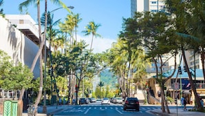 Rua com palmeiras e edifícios, carros estacionados na lateral e uma faixa de pedestres.