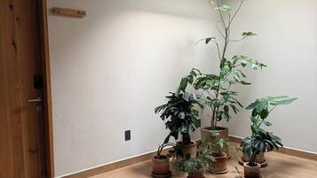 Una habitación con suelo de madera, tragaluz y varias macetas con plantas.