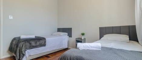 A bedroom with two beds, a nightstand, and a small plant.