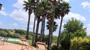Un patio con due poltrone in legno, una piscina e alte palme.