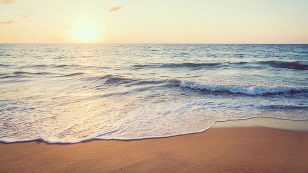 A beach with waves and a sunset. - Ideal for a large family, authentic Landes house, pets welcome (Biscarrosse)
