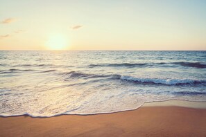 A beach with waves and a sunset. - Ideal for large families, authentic country house, pets welcome (Biscarrosse)