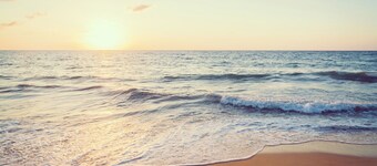 Ideal for a large family, authentic Landes house, pets welcome