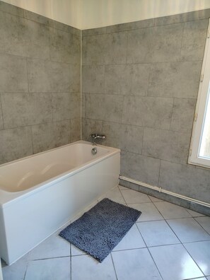 Shower, hair dryer, soap, toilet paper