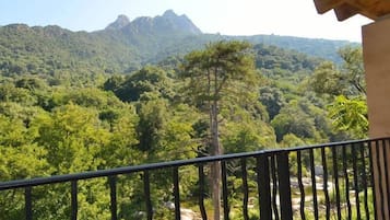 Apartment, 4 Bedrooms, River View | Terrace/patio