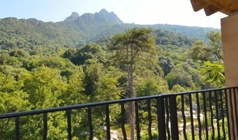 Un balcón con vistas a una cadena montañosa boscosa.
