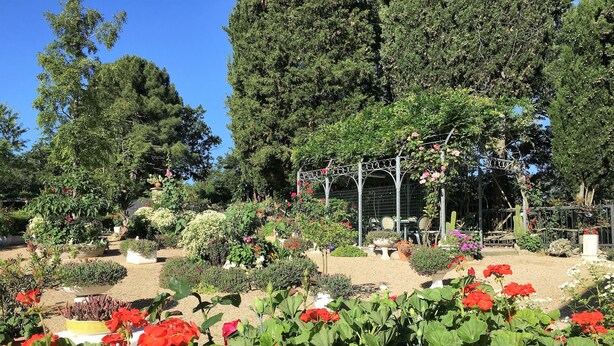 A garden with various plants and flowers, a pergola with seating, and a fenced area with tables and chairs. - Between S. Gimignano and Volterra in the peace of the woods of Tuscany (Gambassi Terme)