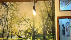 A bedroom with a large bed, a wall-mounted light fixture, and a mural of a forest scene. - Between S. Gimignano and Volterra in the peace of the woods of Tuscany (Gambassi Terme)