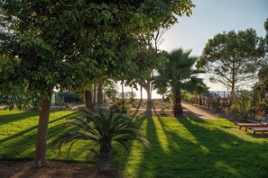 A garden with a pathway, palm trees, and a bench. - Amazing waterfront villa with pool and Ionian sea sunsets direct access to beach (Nestor)