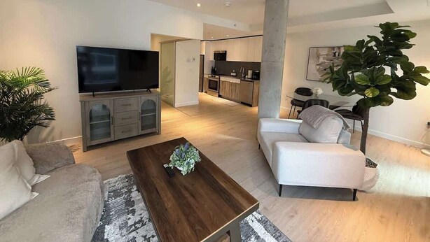 A modern living room with a flat-screen TV, a sofa, a coffee table, and a large plant. - Bright, warm & spacious 1 BR in North End Halifax (Halifax)