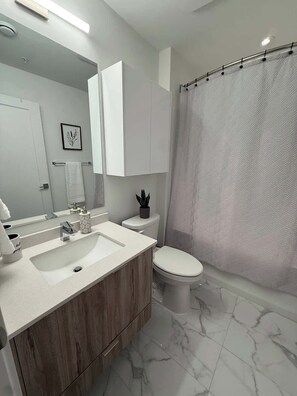 Shower, hair dryer - Bright, warm & spacious 1 BR in North End Halifax (Halifax)