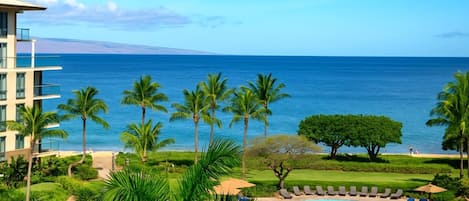 Condo (4 Bedrooms) | View from room