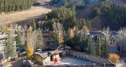 New Listing! Townhome with Grill, Fireplace and Jacuzzi Tubs!