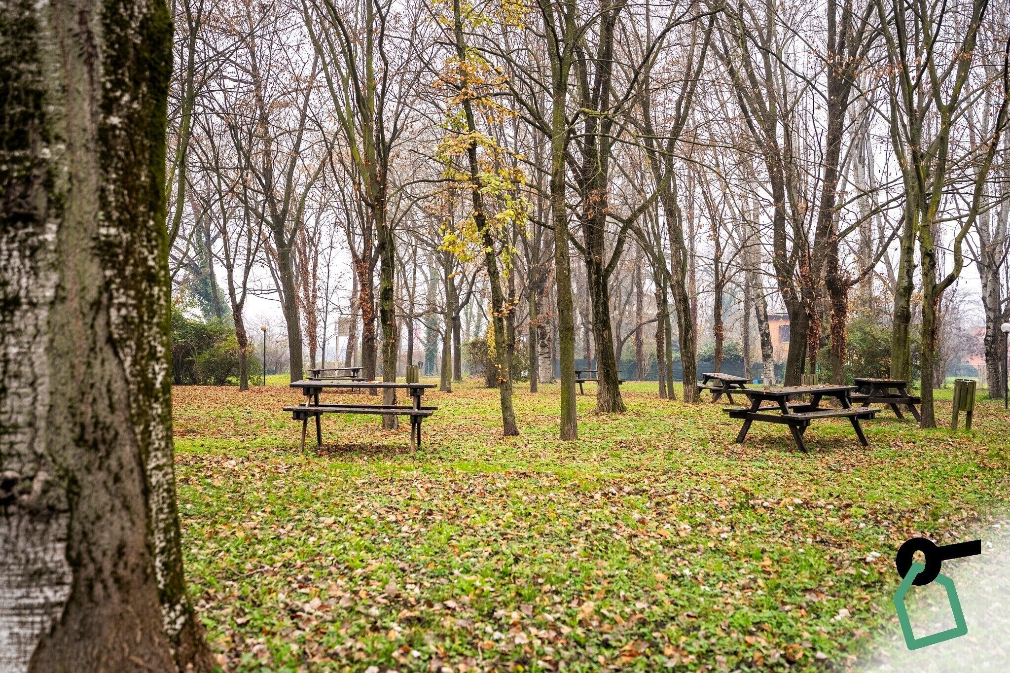 Ein Park mit Picknicktischen und bodenbedecktem Laub.