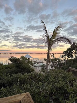 Property grounds - Catch n' Relax: 3BR/2BA Secluded Retreat with Private Dock & Beach Access. (Placida)
