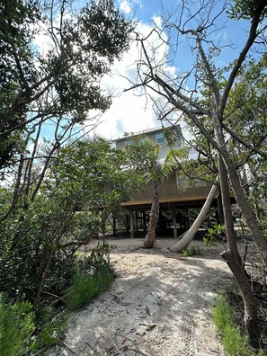 Property grounds - Catch n' Relax: 3BR/2BA Secluded Retreat with Private Dock & Beach Access. (Placida)