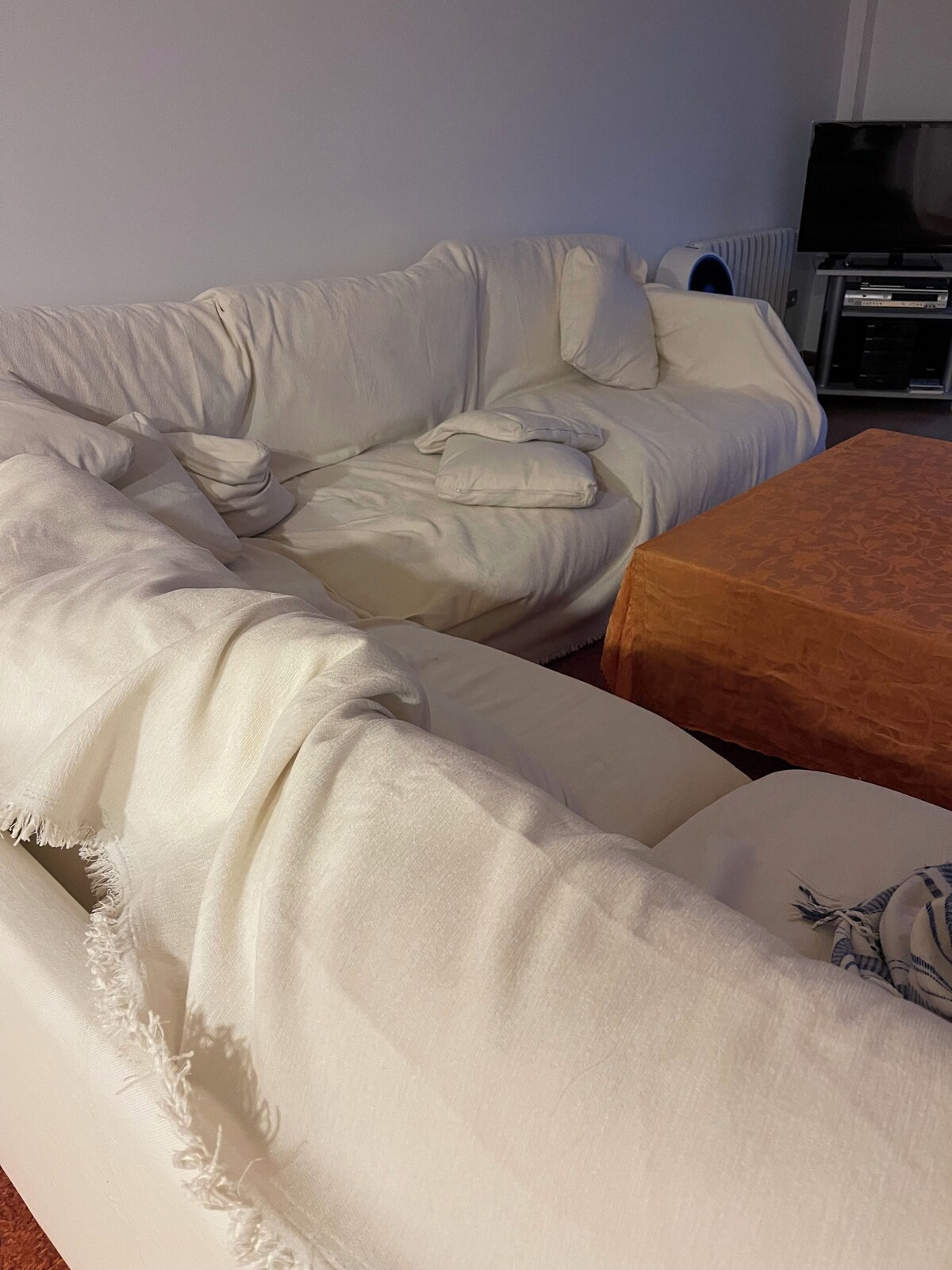 オーナーのプロフィール画像