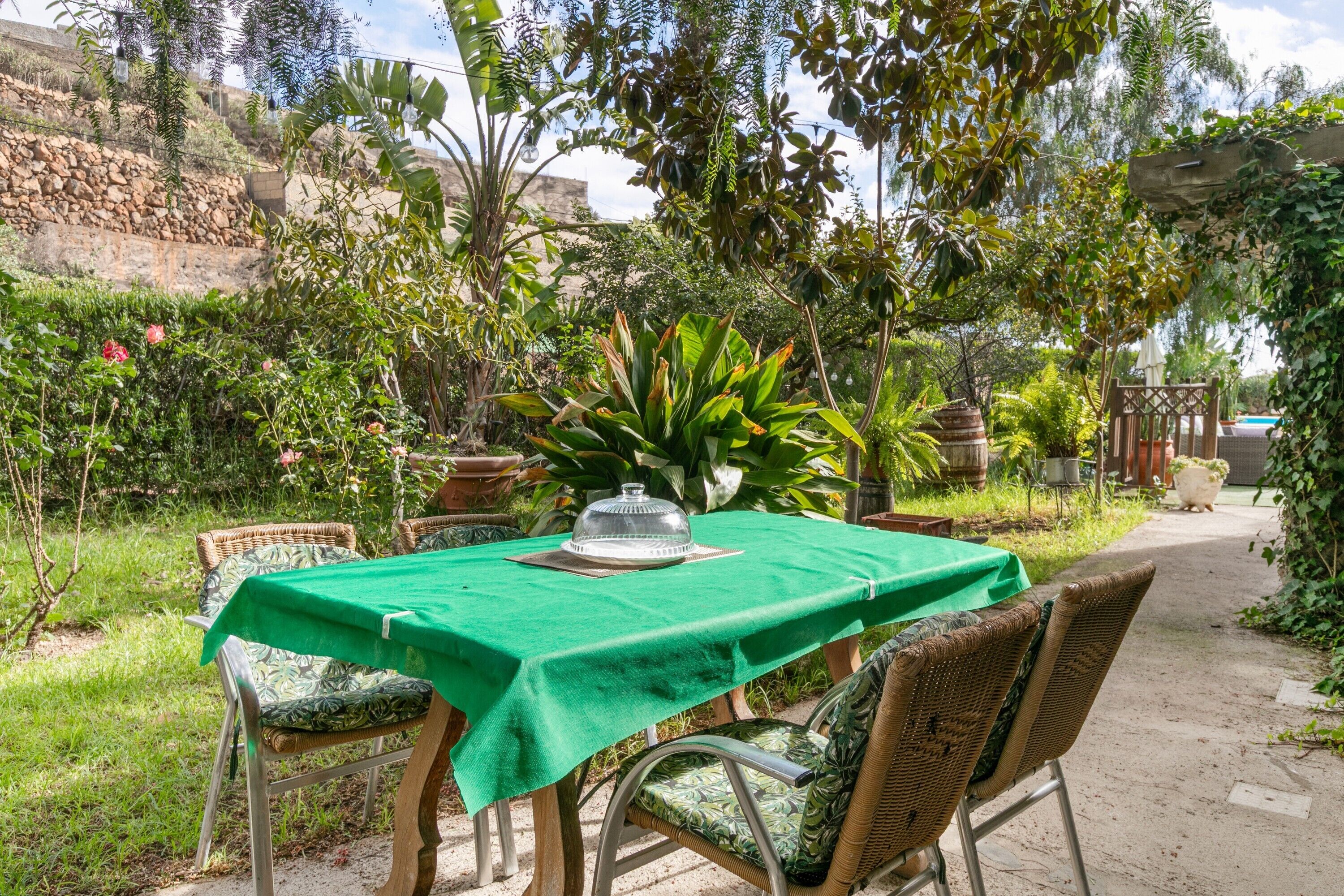 屋外ダイニングエリア