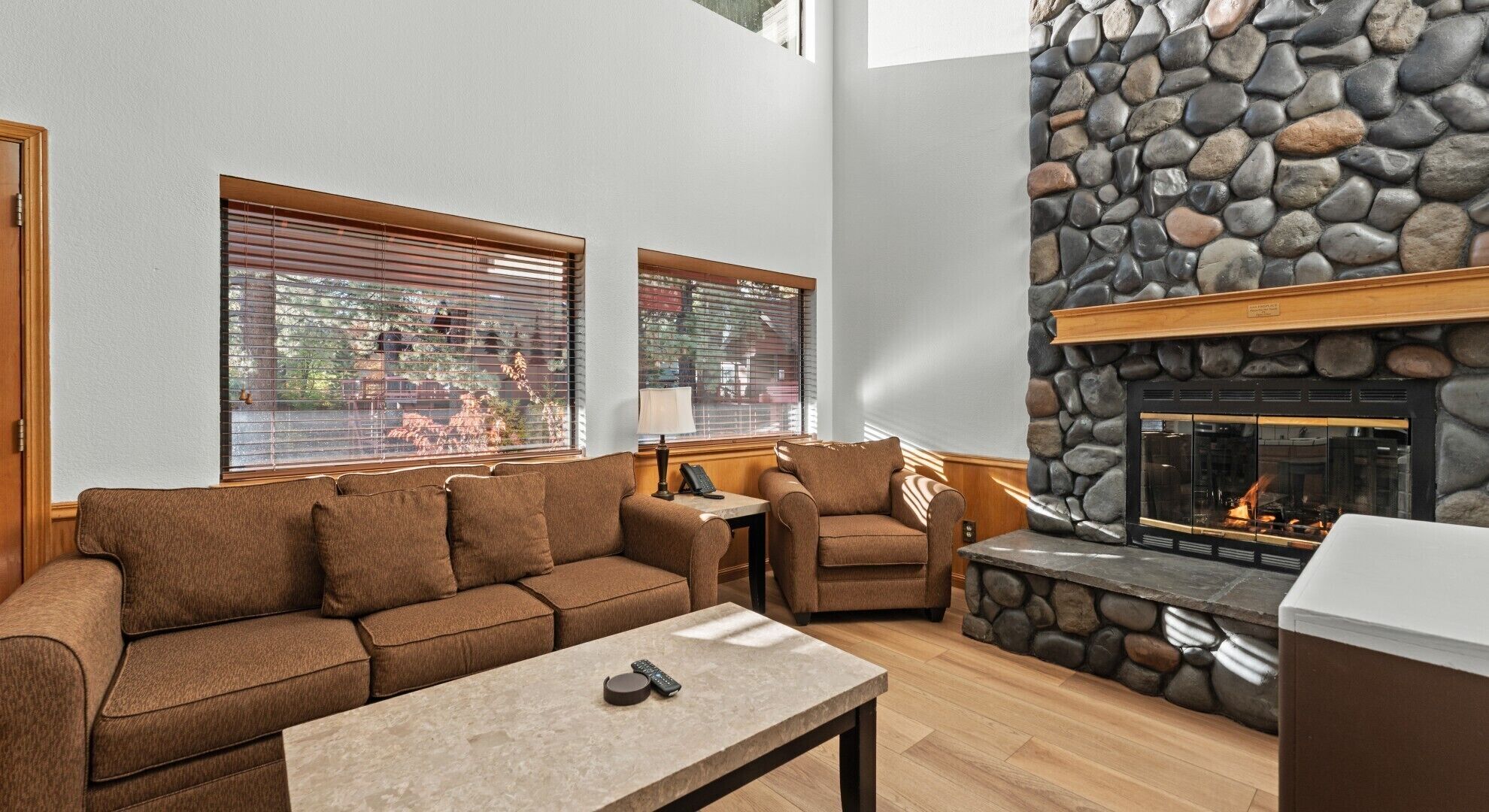 TV, fireplace, books