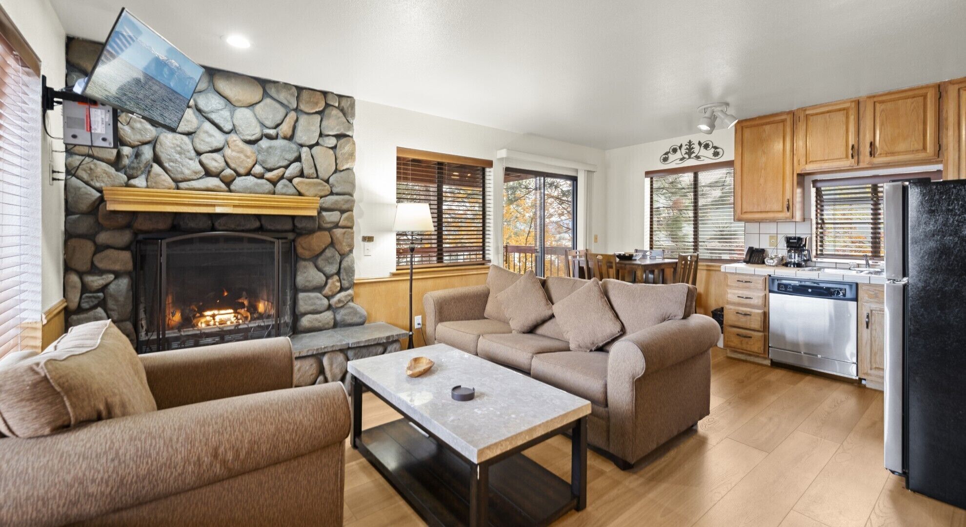 TV, fireplace, books