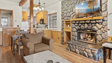 TV, fireplace, books