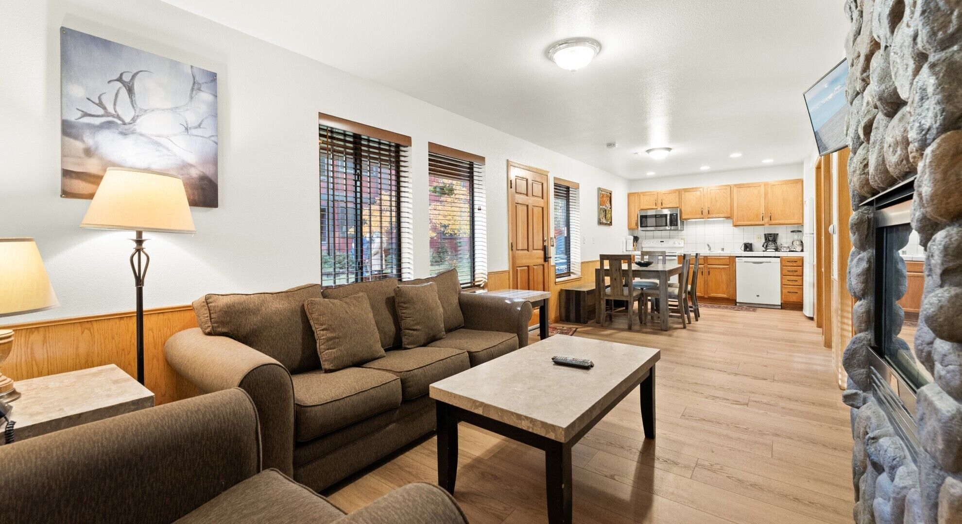 TV, fireplace, books