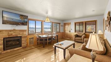 TV, fireplace, books