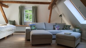 Älytelevisio, stereot