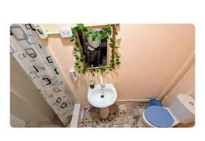 مجففات شعر، مناشف، صابون، ورق حمّام